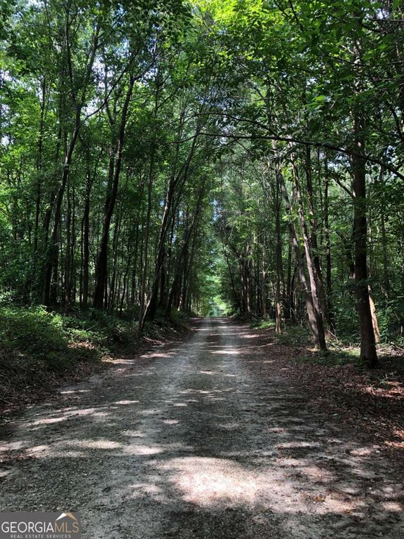 209 Alice Moss Lane, Alto, GA 30510 — photo 2
