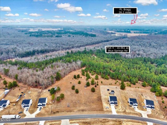 Lot 4 Blue Springs Road, Red Springs, NC 28377