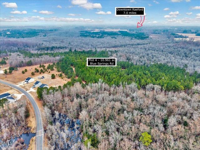 Lot 4 Blue Springs Road, Red Springs, NC 28377