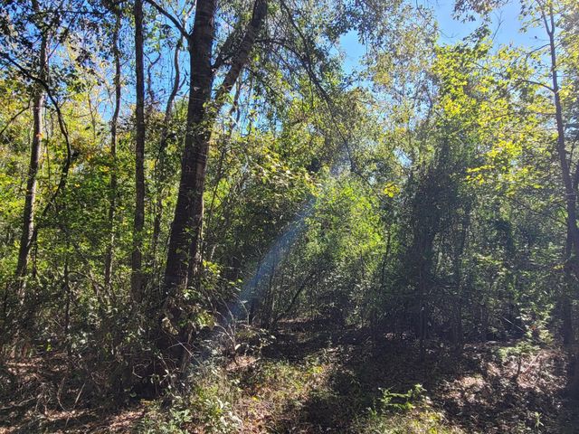 10785 Fm-2518, Cleveland, TX 77327