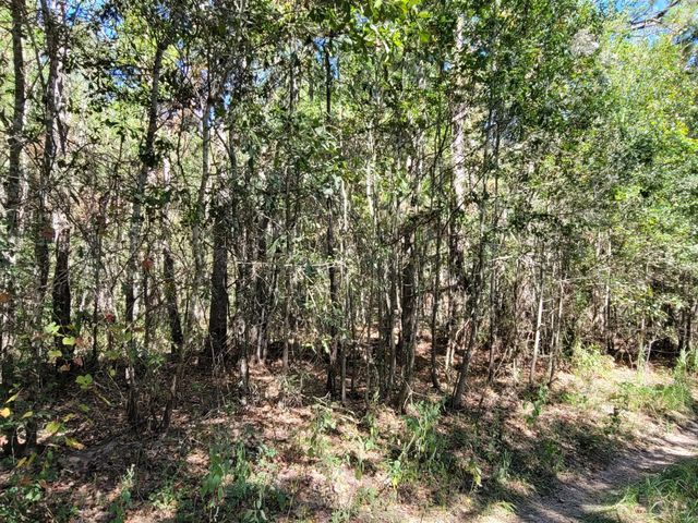 10785 Fm-2518, Cleveland, TX 77327