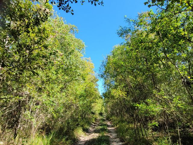 10785 Fm-2518, Cleveland, TX 77327