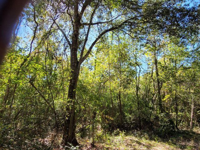 10785 Fm-2518, Cleveland, TX 77327