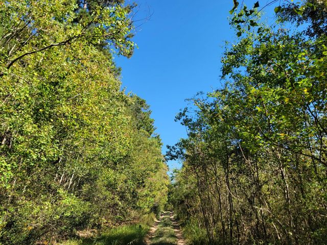 10785 Fm-2518, Cleveland, TX 77327