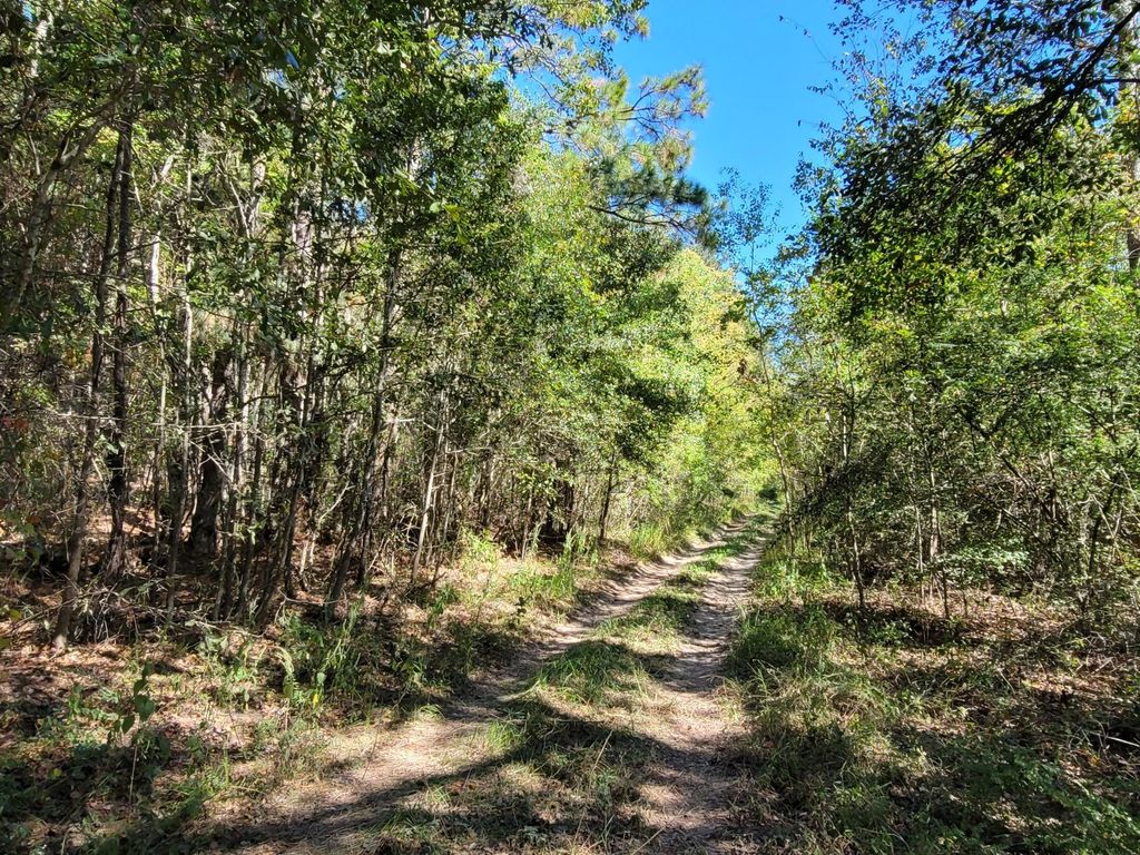 10785 Fm-2518, Cleveland, TX 77327