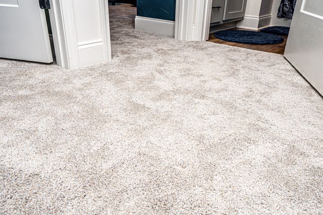 301 22nd Avenue, E, Springfield, TN 37172