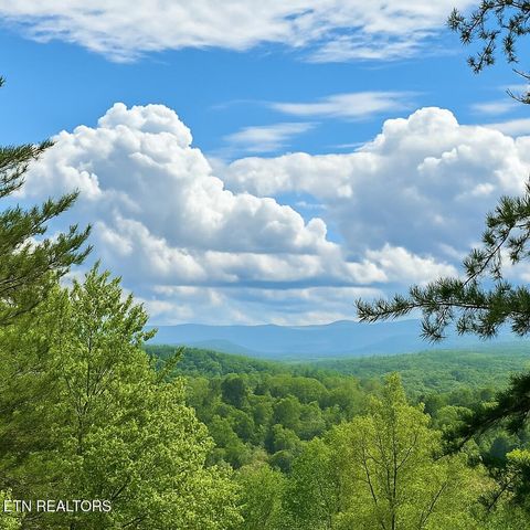 1715 Bear View Rd, Sevierville, TN 37876