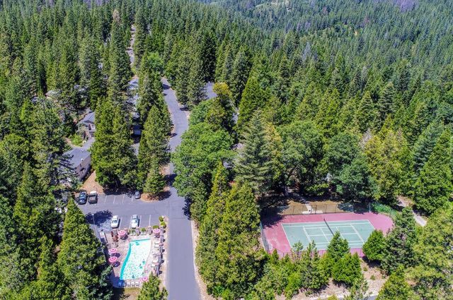 31 Splash Dam Loop, Arnold, CA 95223