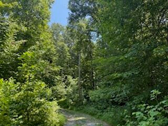 Lot 56-60 Cedar Drive, Nancy, KY 42544