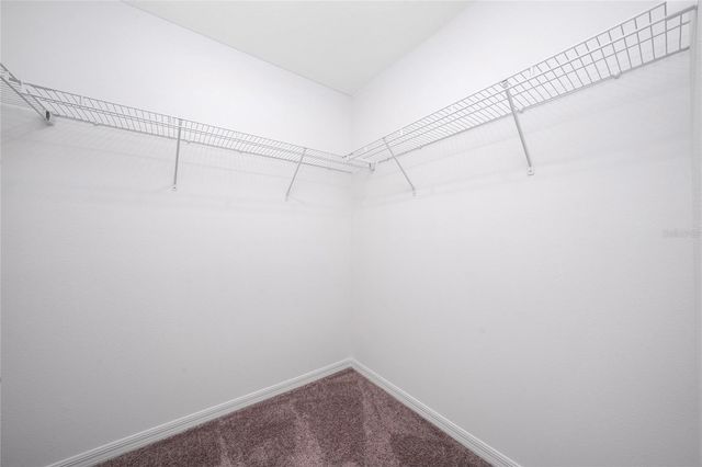 2810 RAINDROP RUN STREET, Clermont, FL 34714