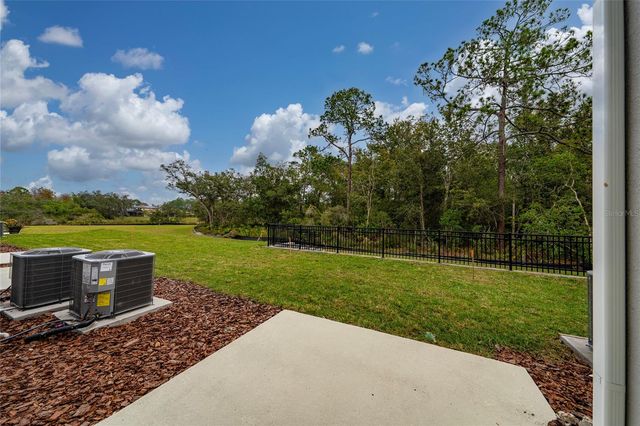 2810 RAINDROP RUN STREET, Clermont, FL 34714