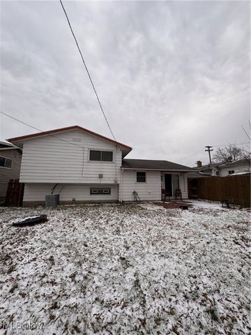 1114 E 167th Street, Cleveland, OH 44110