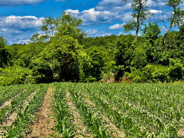 513 Rossway Road, Pleasant Valley, NY 12569