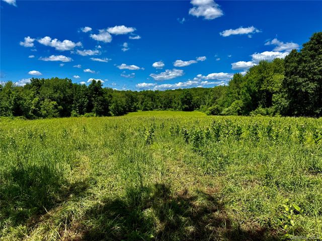 513 Rossway Road, Pleasant Valley, NY 12569