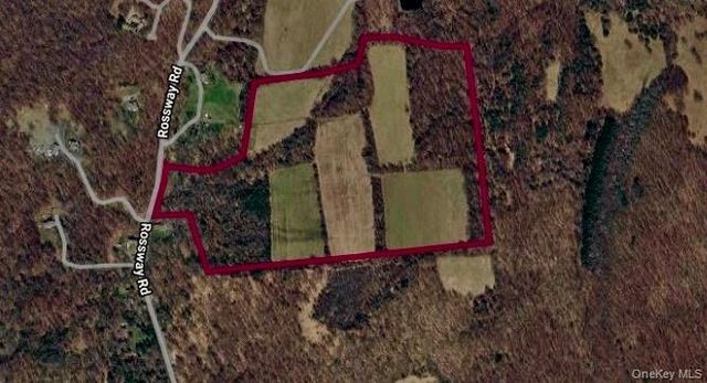 513 Rossway Road, Pleasant Valley, NY 12569