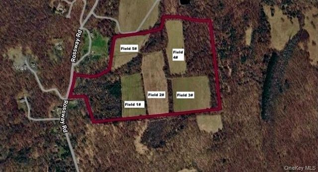 513 Rossway Road, Pleasant Valley, NY 12569