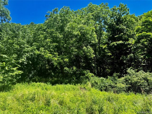 513 Rossway Road, Pleasant Valley, NY 12569