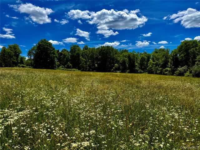 513 Rossway Road, Pleasant Valley, NY 12569