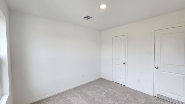 16202 Rustic Prairie Drive, Hockley, TX 77447