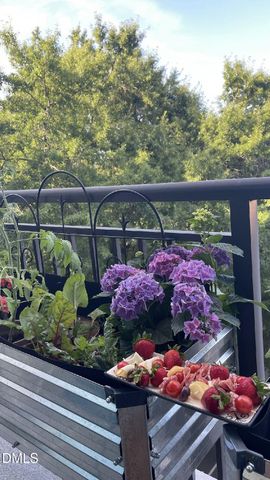 140 W Franklin Street Unit 415, Chapel Hill, NC 27516