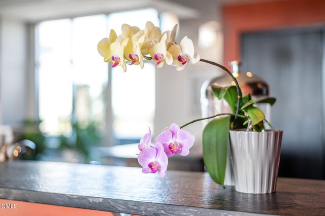 140 W Franklin Street Unit 415, Chapel Hill, NC 27516