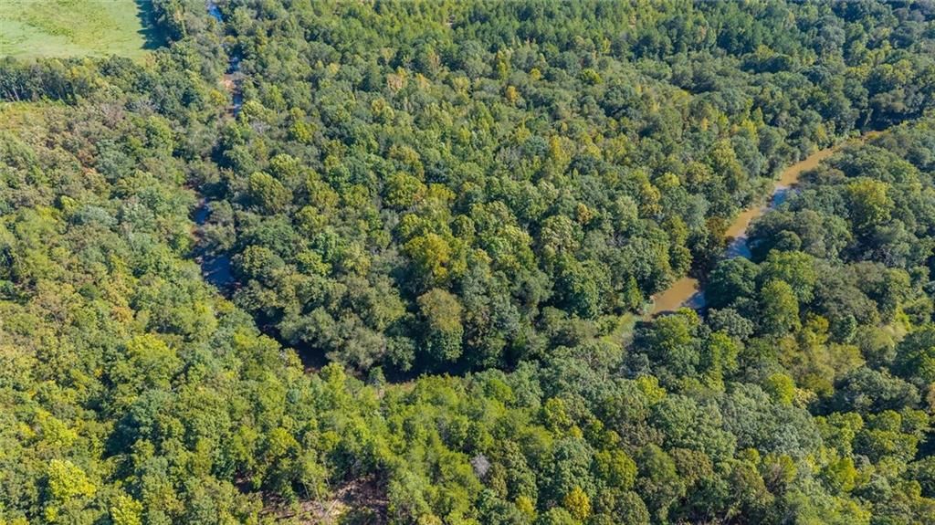 Image 15 of property listing at 702 Liner Road, Tallapoosa, GA 30176