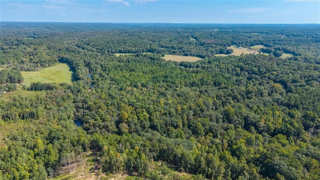 Image 18 of property listing at 702 Liner Road, Tallapoosa, GA 30176