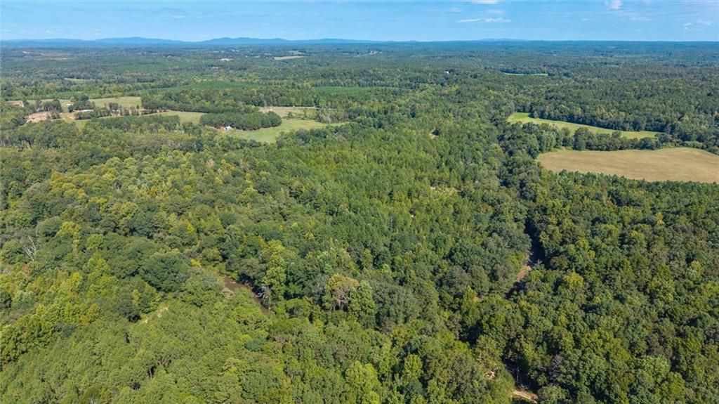 Image 19 of property listing at 702 Liner Road, Tallapoosa, GA 30176