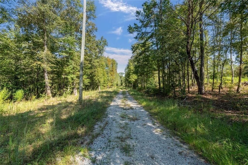 Image 23 of property listing at 702 Liner Road, Tallapoosa, GA 30176
