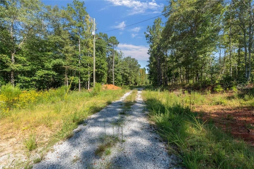 Image 24 of property listing at 702 Liner Road, Tallapoosa, GA 30176