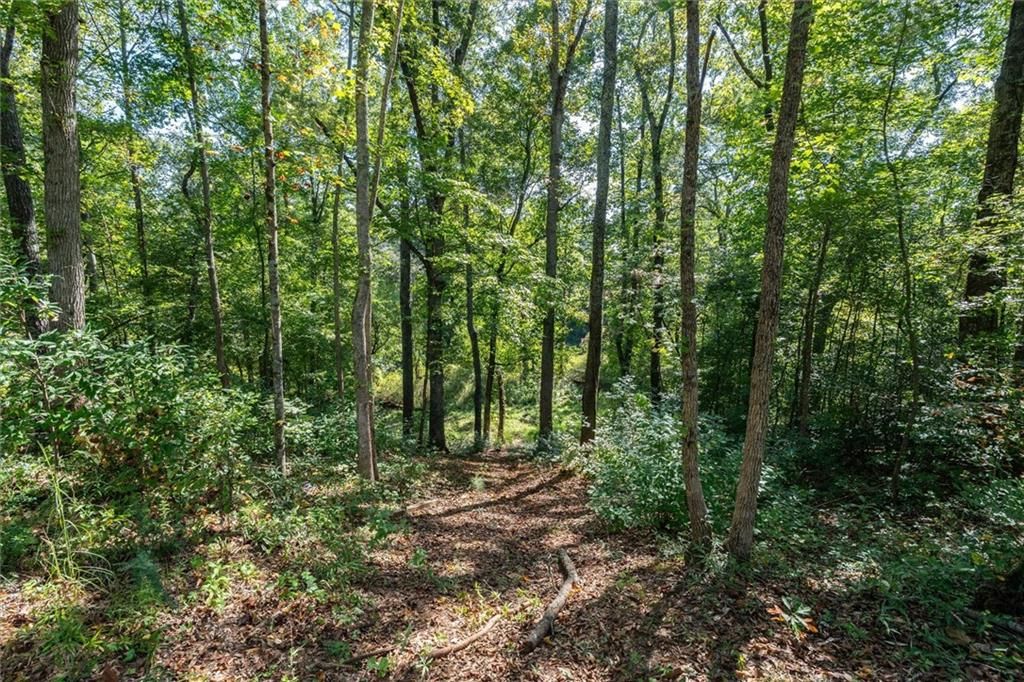 Image 29 of property listing at 702 Liner Road, Tallapoosa, GA 30176