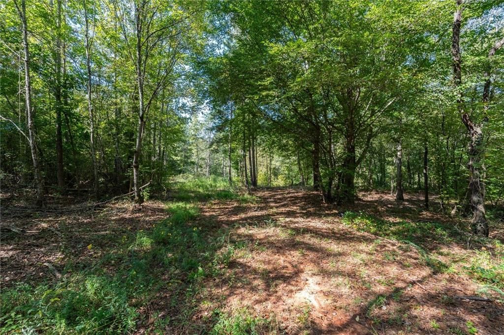 Image 30 of property listing at 702 Liner Road, Tallapoosa, GA 30176