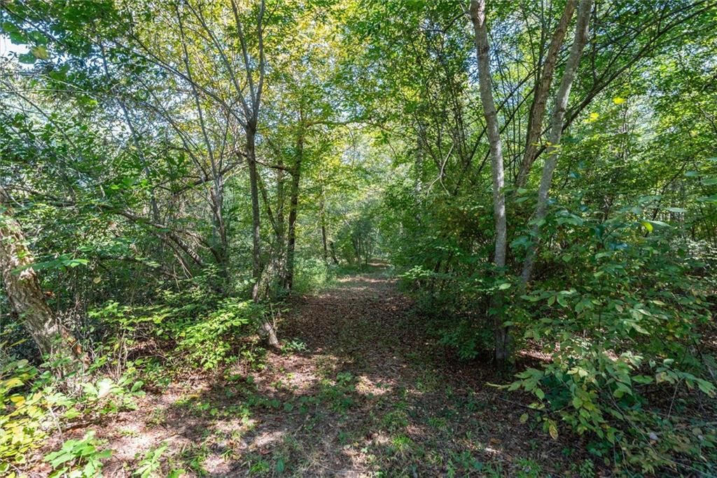 Image 31 of property listing at 702 Liner Road, Tallapoosa, GA 30176