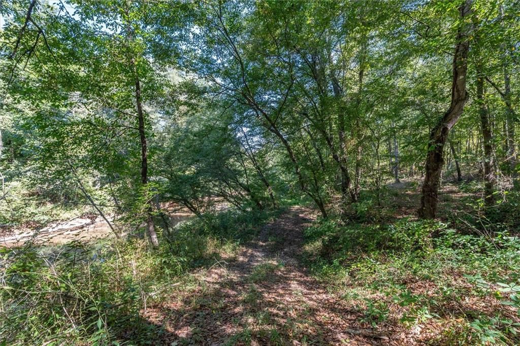 Image 32 of property listing at 702 Liner Road, Tallapoosa, GA 30176