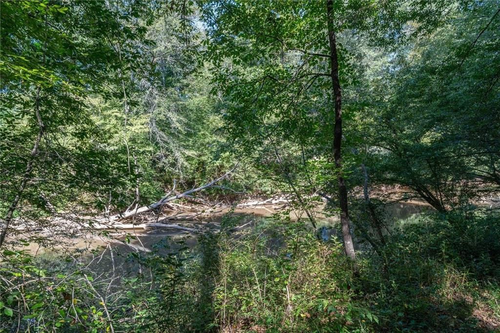 Image 33 of property listing at 702 Liner Road, Tallapoosa, GA 30176