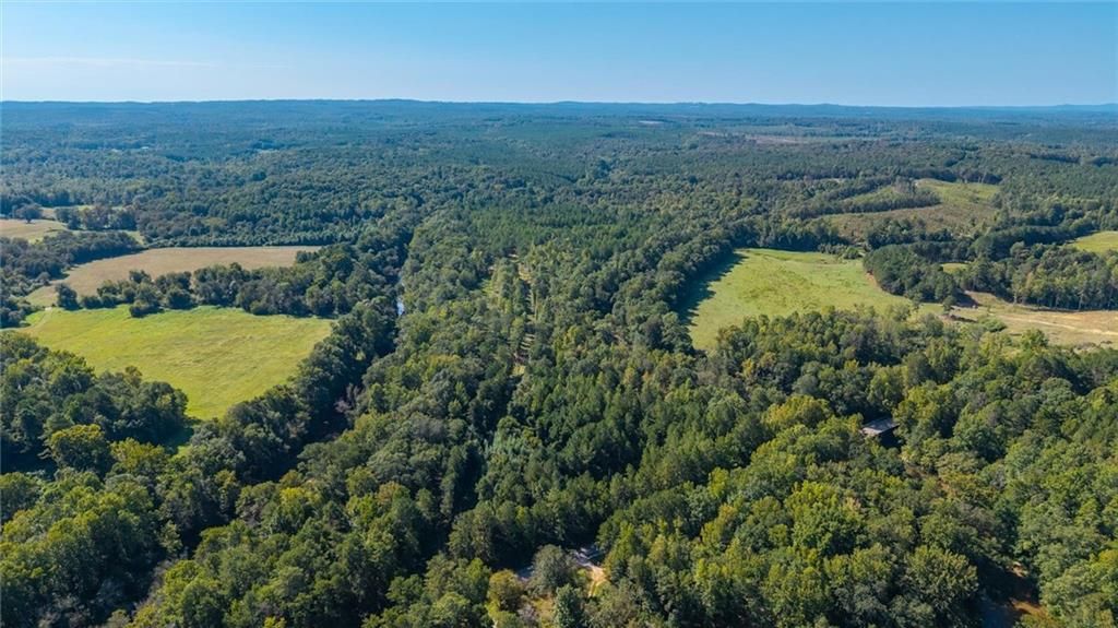 Image 6 of property listing at 702 Liner Road, Tallapoosa, GA 30176