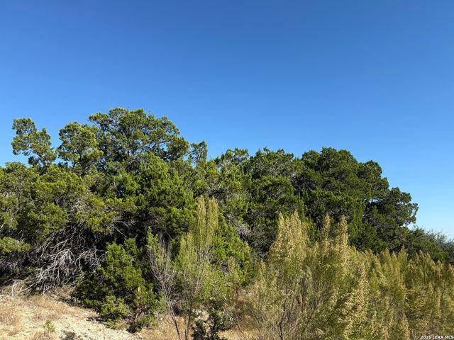 LOT 90 Deer Creek, Spring Branch, TX 78070
