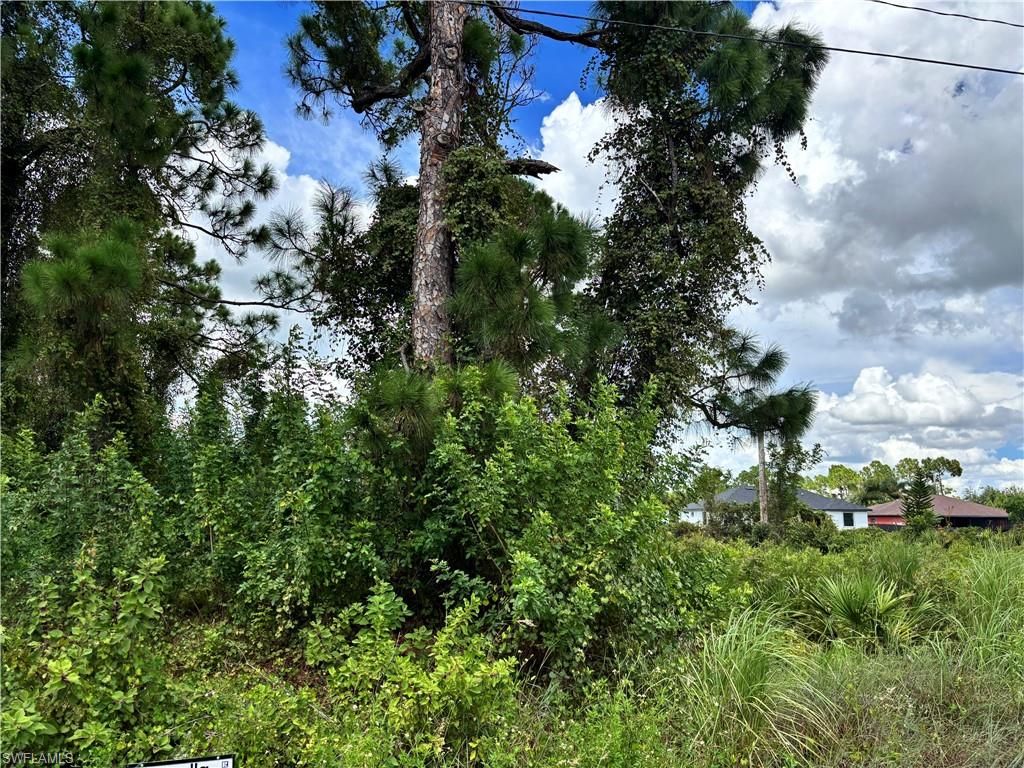 1145 Damen ST E, LEHIGH ACRES, FL 33974 — photo 2