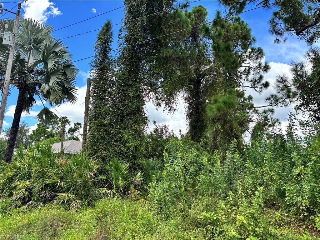 1145 Damen ST E, LEHIGH ACRES, FL 33974 — photo 3
