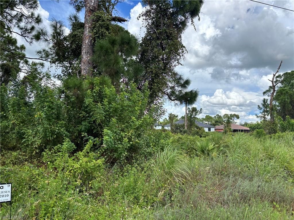 1145 Damen ST E, LEHIGH ACRES, FL 33974 — photo 4