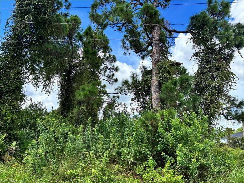 1145 Damen ST E, LEHIGH ACRES, FL 33974 — photo 5