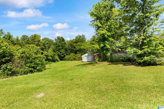 390 CHAMBLEE LANE, Warrior, AL 35180