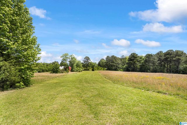 390 CHAMBLEE LANE, Warrior, AL 35180
