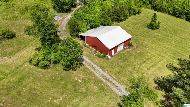 390 CHAMBLEE LANE, Warrior, AL 35180