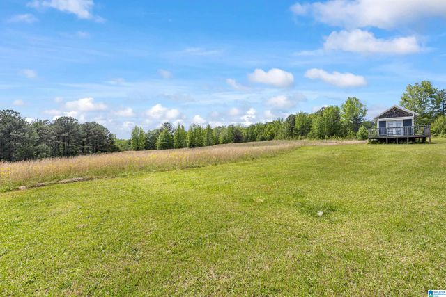 390 CHAMBLEE LANE, Warrior, AL 35180