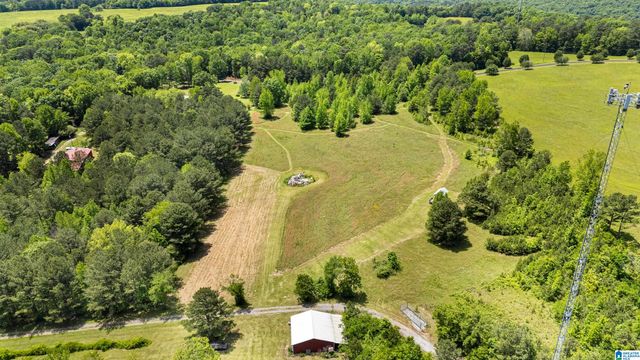 390 CHAMBLEE LANE, Warrior, AL 35180