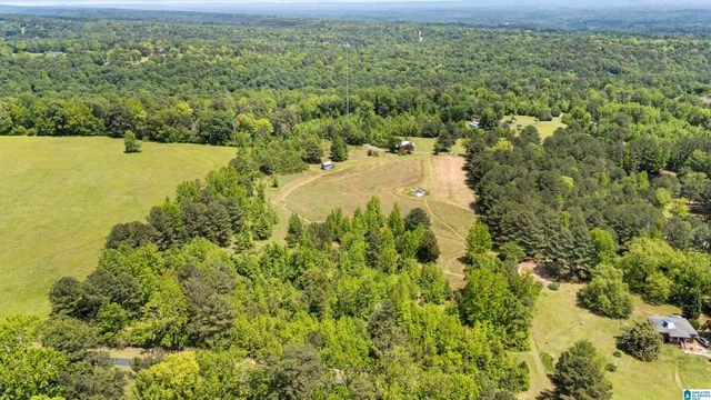 390 CHAMBLEE LANE, Warrior, AL 35180