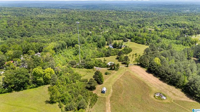 390 CHAMBLEE LANE, Warrior, AL 35180