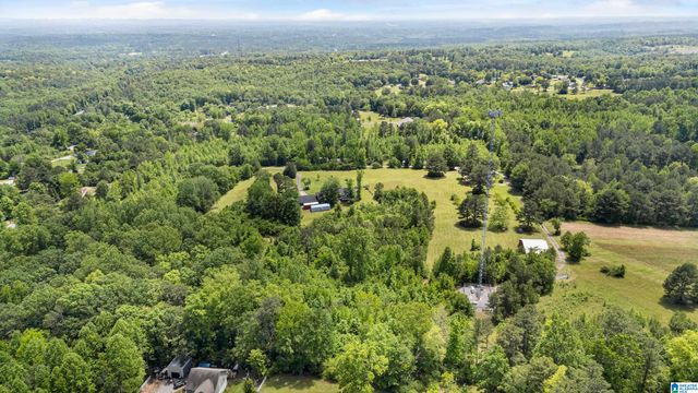 390 CHAMBLEE LANE, Warrior, AL 35180