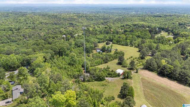 390 CHAMBLEE LANE, Warrior, AL 35180